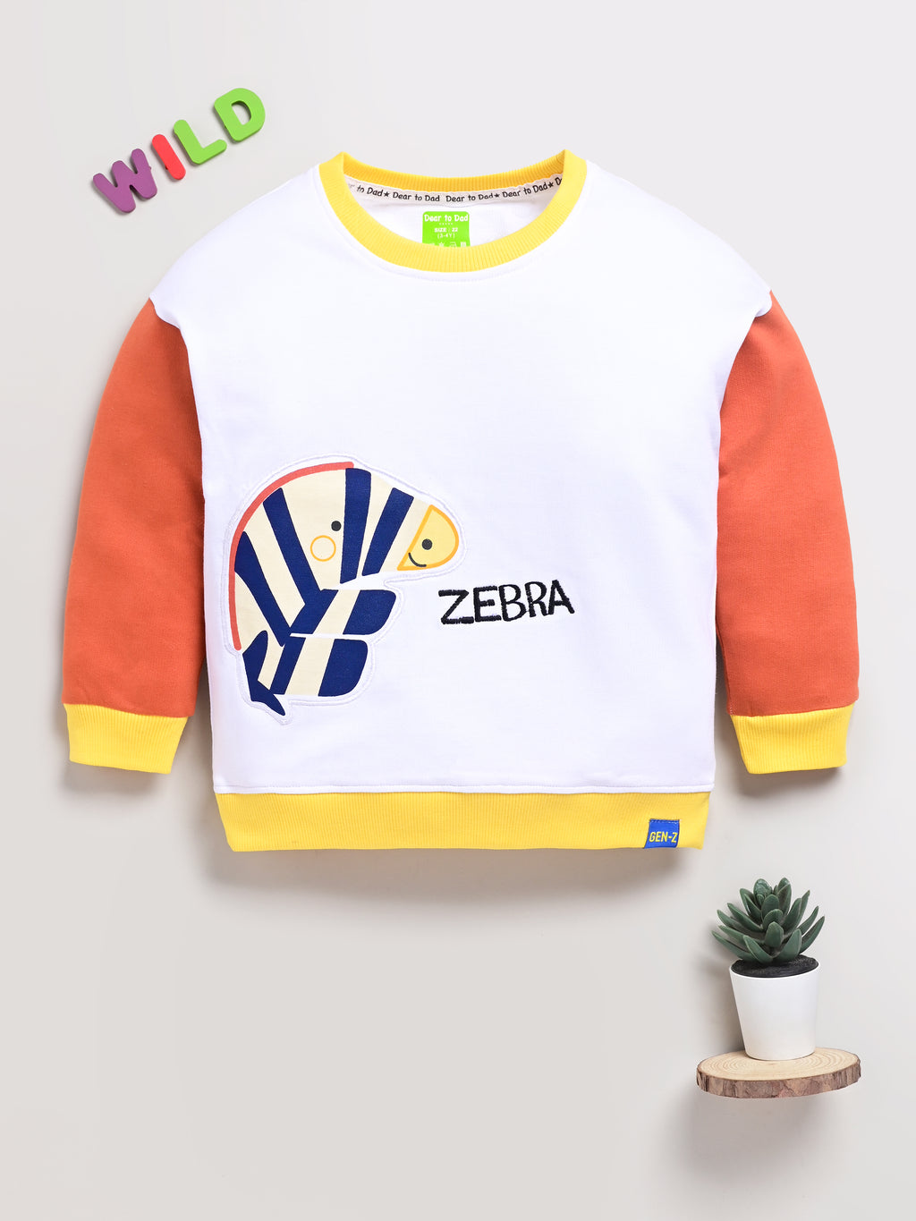 DTD Pure cotton Full Sleeve Round Neck Girls Sweat Shirt ON-B-SW-001/2