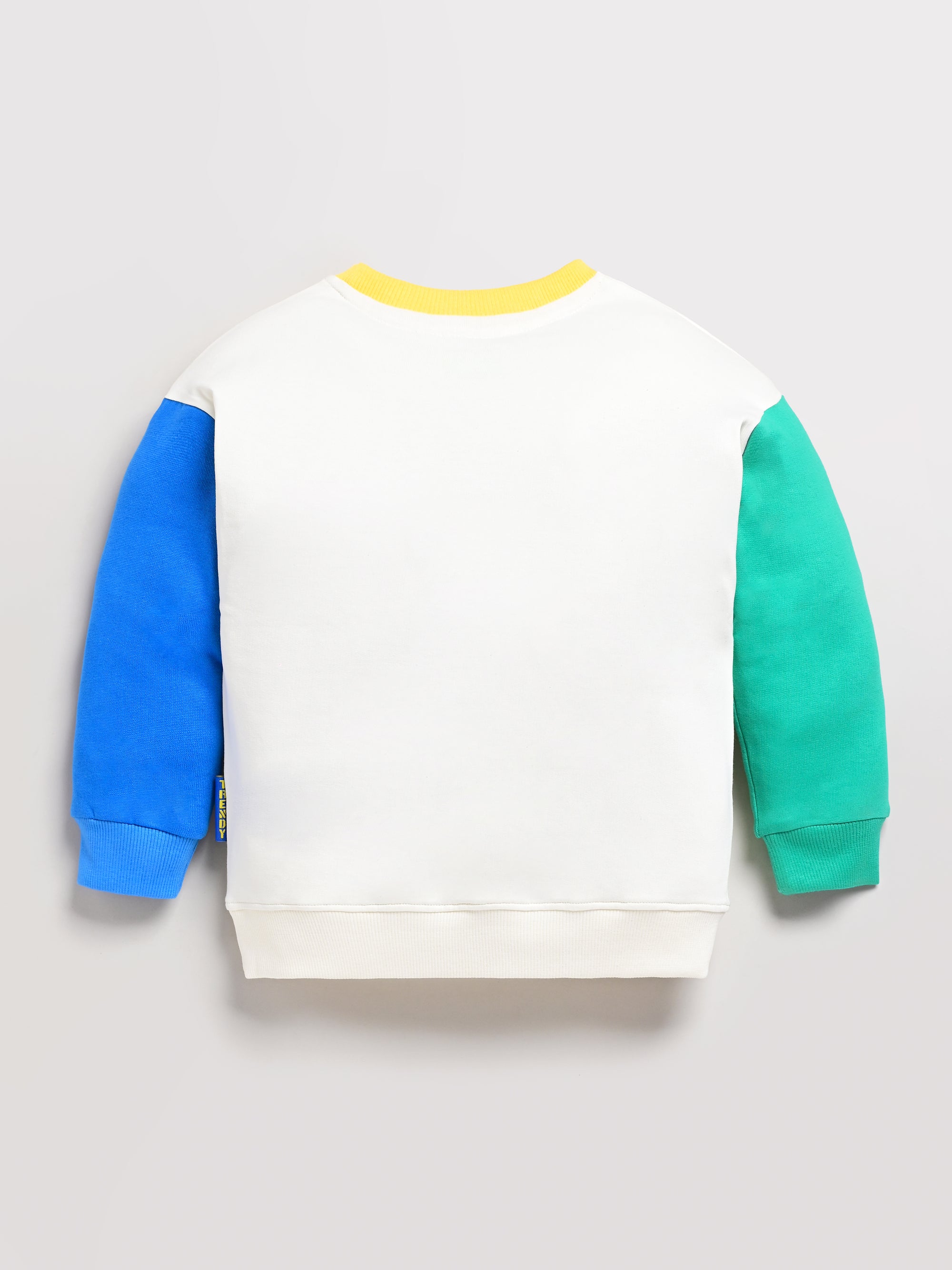 DTD Pure cotton Full Sleeve Round Neck Girls Sweat Shirt ON-B-SW-003/4