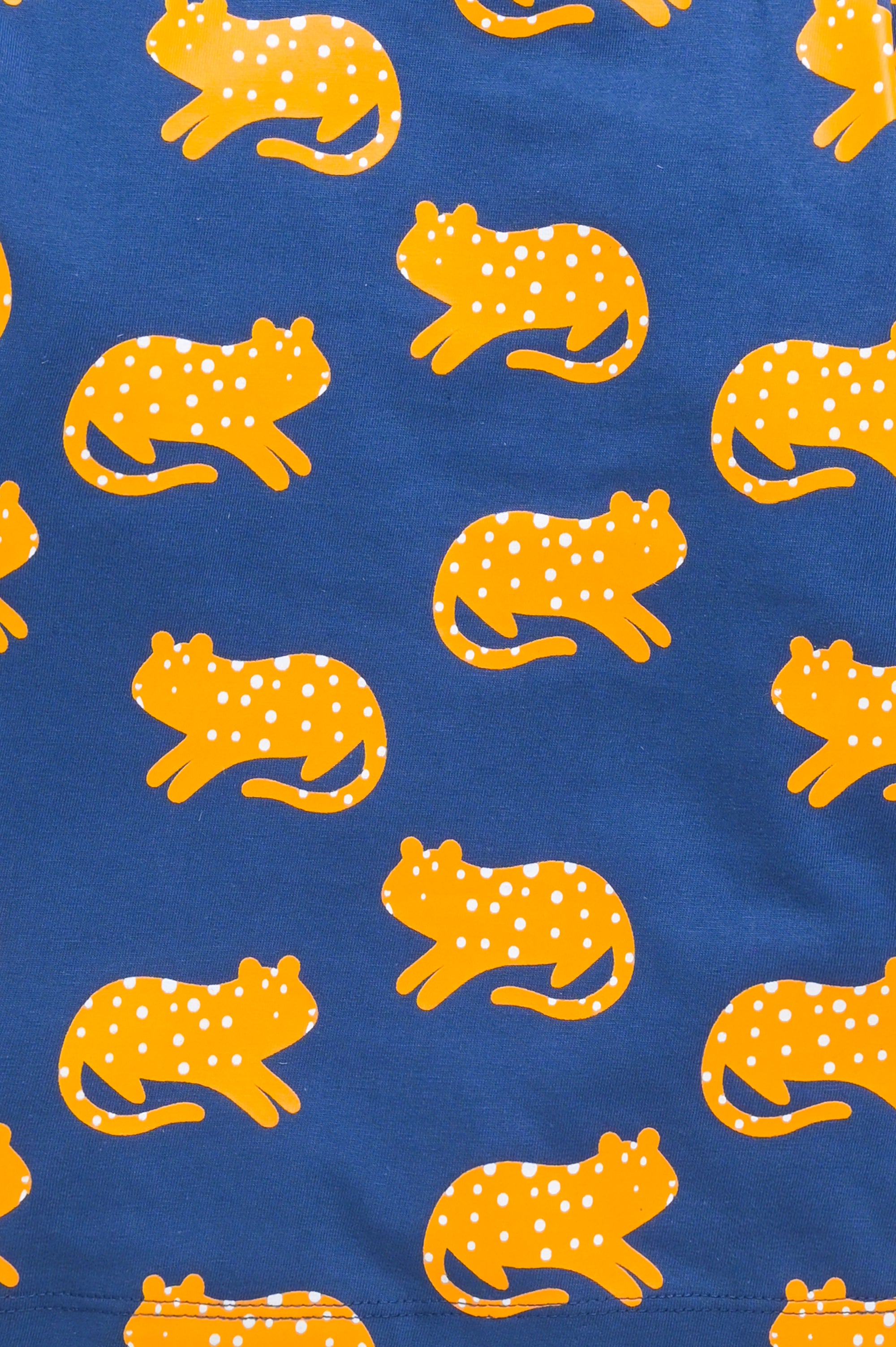 DTD Pure Cotton Full Sleeve All Over Printed Boys Night Suit B-FS-NS-06