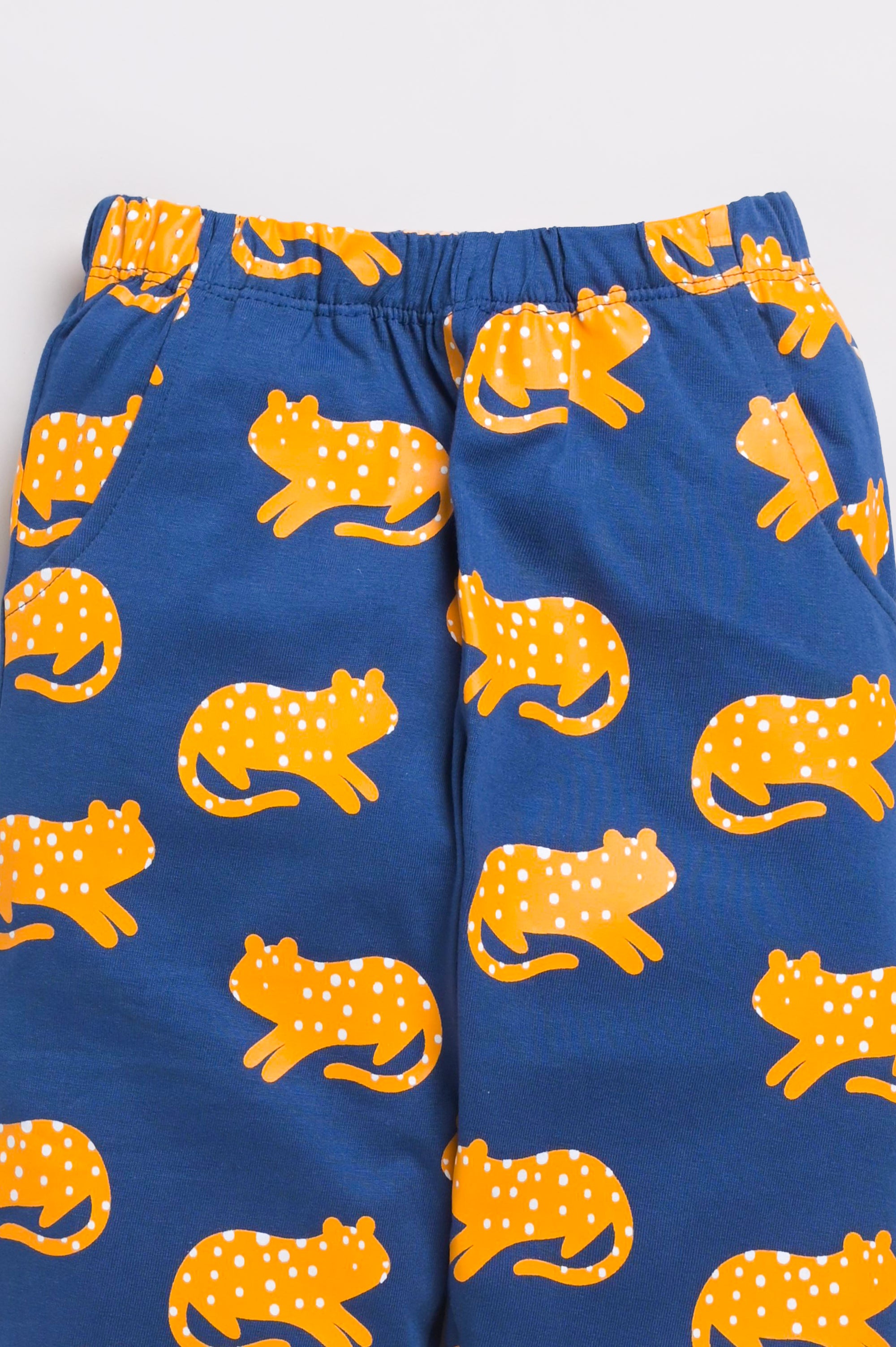DTD Pure Cotton Full Sleeve All Over Printed Boys Night Suit B-FS-NS-06